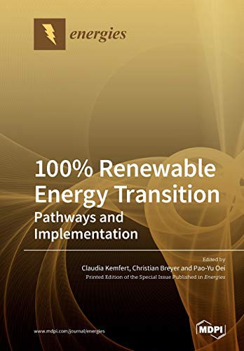 100% Renewable Energy Transition: Pathways and Implementation view 2
