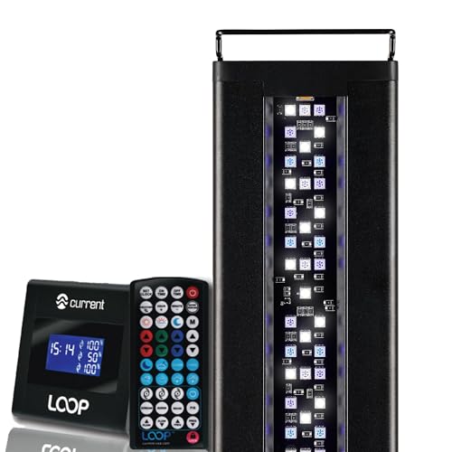 Current USA 24-36' Inch Orbit Marine LED Saltwater Reef Marine Aquarium Light | 24 Hour IR Lighting & eFlux Wave Pump Control | Adjustable Color Spectrum for Fish Tank (4101)