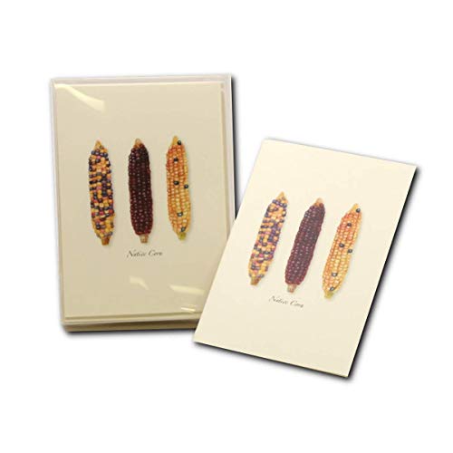 Image of Earth Sky + Water - Native Corn Notecard Set - 8 Blank Cards with Envelopes