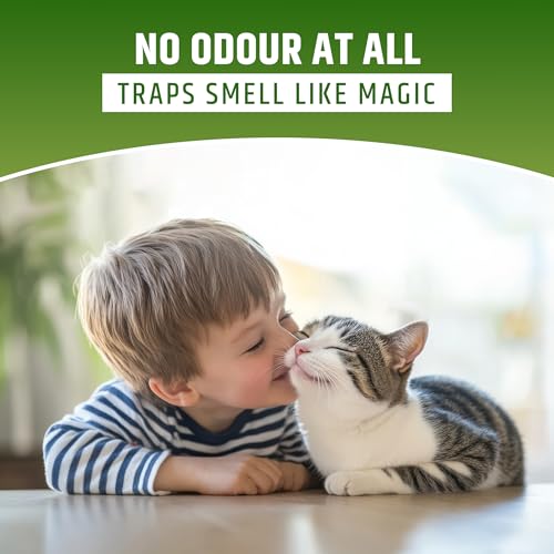 CAT Litter Sand for CAT 10KG, 99.99% Dust Free, Fast Clamping Natural Cat Litter 10kg (CAT Litter 5KG X 2 - Non Scented) DogsNCats - Authorised Partner