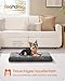 Feandrea Hundebett, Hundekissen M, für kleine Hunde, Flauschige Hundematte, Plüsch, 80 x 50 cm, weiche Polsterung, waschbar, rutschfest, schiefergrau PGW291GN01