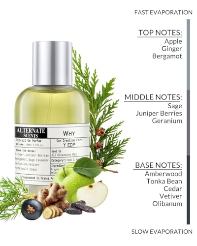 Image of Alternate Scents WHY 100ml Perfume for Men | Fresh Aromatic Fougere Blend | 30% Oil Concentration | Long Lasting, Smooth & Masculine | Made in India