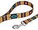 Country Brook Petz - Native Arizona Martingale Dog Collar and Leash - Country and Western Collection Featuring Rustic Designs (5/8 Inch, Small)