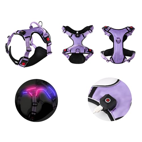 GIIPET-犬 ハーネス【2025最新 USB充電式 光るハーネス LEDライト付き】犬用胴輪 4点調節可能 装着簡単 夜間反射 ペットハーネス 軽量 通気性快適 負担がかからない 脱出防止 小型・中型・大型・超大型犬 夜間散歩・訓練・お出かけ用