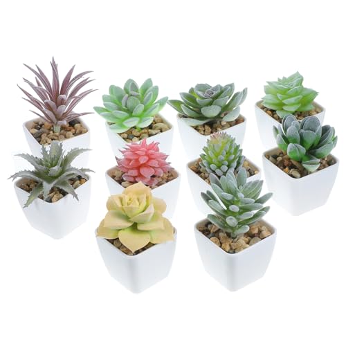 AOKWAWALIY ~j`AA|bg 10Zbg lHϗtA fR[Vp tFCNT{e  CeAO[ 