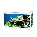 Love Aquatics 60 LED Tropical Glass White Aquarium - Includes Filter, Lights & Heater 58L Fish Tank With FREE Syphon Kit and Thermometer - Image 3