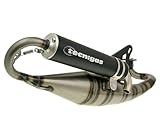 Auspuff Tecnigas TRIOPS für Keeway RY6 50 2009-