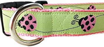 ladybug dog collar