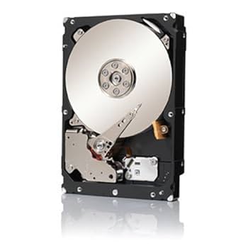 Amazon.com: Seagate Enterprise Capacity 3.5 HDD