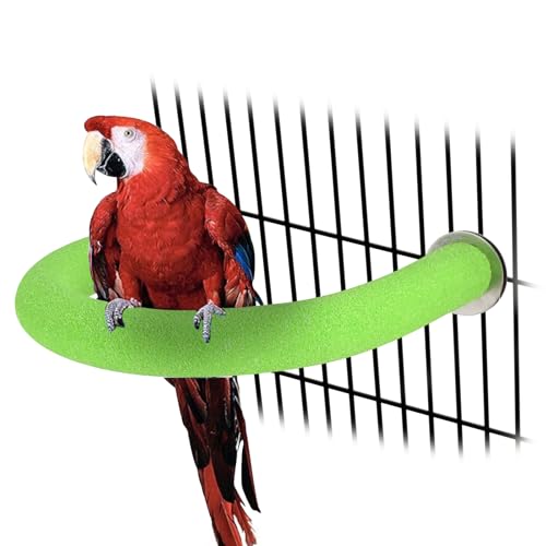 Image of Rypet U Shape Parrot Perch Stand Toy for Paw Grinding Clean Stick Exercise, Rough-Surfaced Quartz Bird Perch Standing Cage Accessories for for Small Parakeets Cockatiels Conures Macaws Finches(Green)