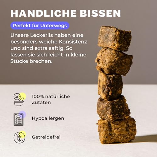HEY HOLY Premium Hundeleckerlis für Bulldogen 100% getreidefrei | Hunde Snacks | 4 x 150 g Leckerli für ausgewachsene Bulldogen mit Lachs | Hochverträglich aus natürlichen Zutaten