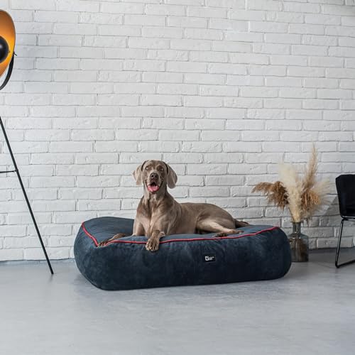 Orthopädisches Hundebett 'Puppy Love' – Beruhigend, Rutschfest, In 7 Größen (40-100 Cm), Regenbogen-Design
