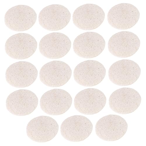 FRCOLOR 40pcs Natural Loofah Oil Absorbing Sheets Facial Oil Control Tissues for Oily Skin Skin Friendly Practical for