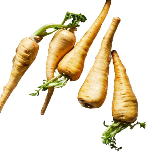 Todd's Seeds Hamburg Rooted Parsley Heirloom Seed - 1g Packet