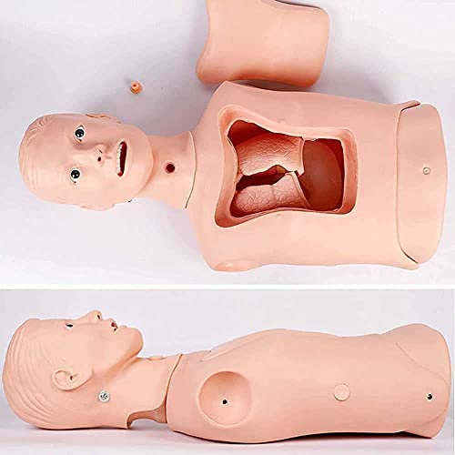 Foccar Intubation Gastric Tube Training Manikin Advanced Nasogastric Tube And Trachea Care Model Gastric Lavage Tracheostomy Model For Nursing Teaching #TOP4