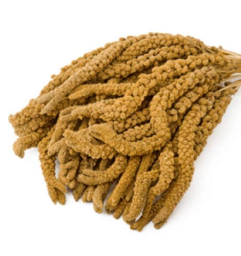 französische Kolbenhirse, gelb, 5 kg