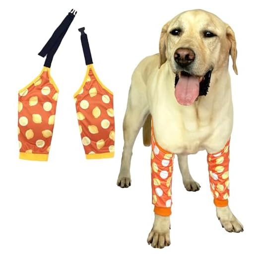 PriPre Knee Protector with Scarf