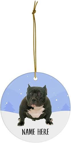 Miniatura 3 de Adornos para árbol de Navidad con nombre personalizado, diseño de American Bully, color negro, círculo de cerámica, regalos de texto personalizados