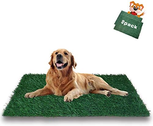 Loobani おしっこマット ペットマット 人工芝 トイレシート 下敷き マット 排水穴付き草マット 屋内 屋外 フローリング 偽草玄関マット犬 猫 ペットシーツ 消臭 撥水 速乾 掃除が簡単 洗える 再使用可能 咬傷耐性芝 おしっこパッド 交換 2個セット Amazon