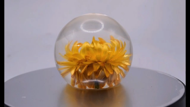 Image of 60mm Real Golden Everlasting Daisy Strawflower in Clear Lucite Resin Ball April Birth Month Flower Anniversary Wedding Engagement Valentine Mother's Day Gift Botanist Paperweight Display Collection