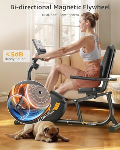 Image of JEEKEE Recumbent Exercise Bike for Seniors Adults, 8-Level Magnetic Resistance Stationary Bike with Heart Rate LCD Monitor, Extra Wide Seat, 400LB Capacity, Quiet Home Workout Bike,Black