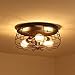 ZZ Joakoah® Industrial 3-Light Rustic Semi Flush Mount Ceiling Light, Metal Cage Pendant Lighting Lamp Fixture for Kitchen Living Room Bedroom Hallway Stairway Garage, E26, Black Painting Finish.