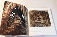 Gaudi the Visionary 067033586X Book Cover