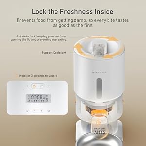 Automatic cat feeder 5l timed cat food dispenser keep dry food fresh stainless steel food bowl 1 6 meals per day 1 16 portions 10s voice auto pet feeder for cats and small dogs  urban country home decor