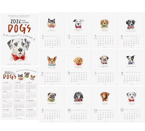 2026NJ_[ -   }X[J_[ `x[V̈pt č 5x7y[W C[[t z[ItBXXN[p zf[VÑMtg (2026ŇAlߑւy[Ŵ)