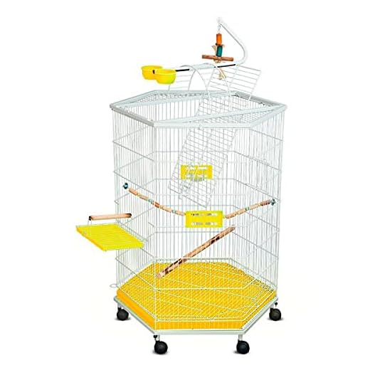 Gaiolas Bragança Viveiro Play Safari Para Calopsitas