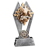 Express Medals 1 Pack of 7 Inch Tall Sun Ray Martial Arts Karate Trophy Awards Boys Girls Mens Women Youth Team Trophies Award Tournament Champion Winner Event Prize Gift SR110