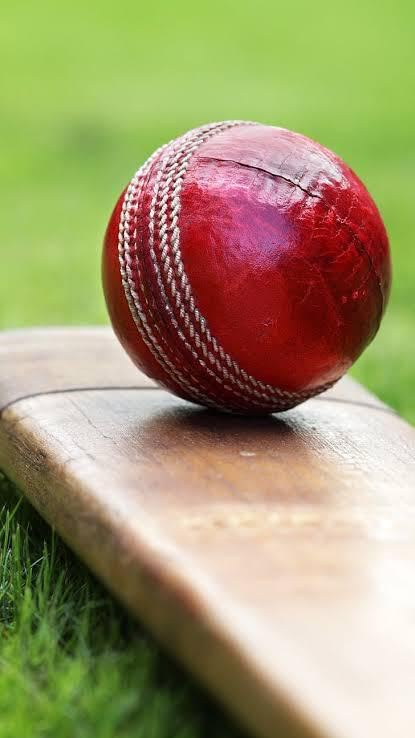 Image of Layan Sport Cricket Leather Ball (4 Piece, Red) Standard Size