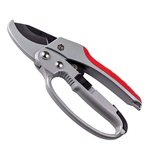 Forbici Potatura a Cricchetto per Giardinaggio Professionale, Forbici Bypass e Cesoie a Incudine,Utilizzate per Potare Rami,Arbusti e Petali di Rosa,Professionali Sicure Forbici da Potatura