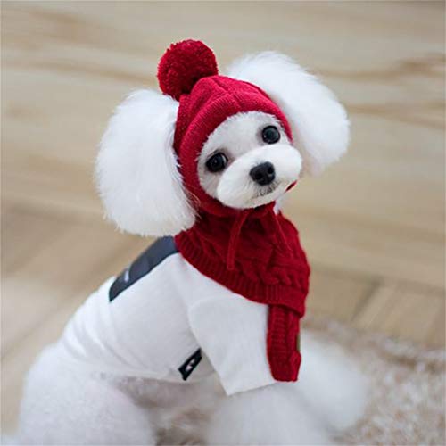 Amiispe Winter warme gestrickte Mütze Schal für Hunde Hunde Hüte Haustiere Produkte Lustige Cosplay Hund Cap Für Chihuahua Welpen zube