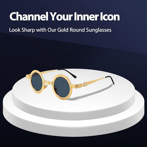 Technigadgets Draco Vintage Round Sunglasses Retro Gothic Clock-Like Eyewear For Men Women Metal Frame UV4002