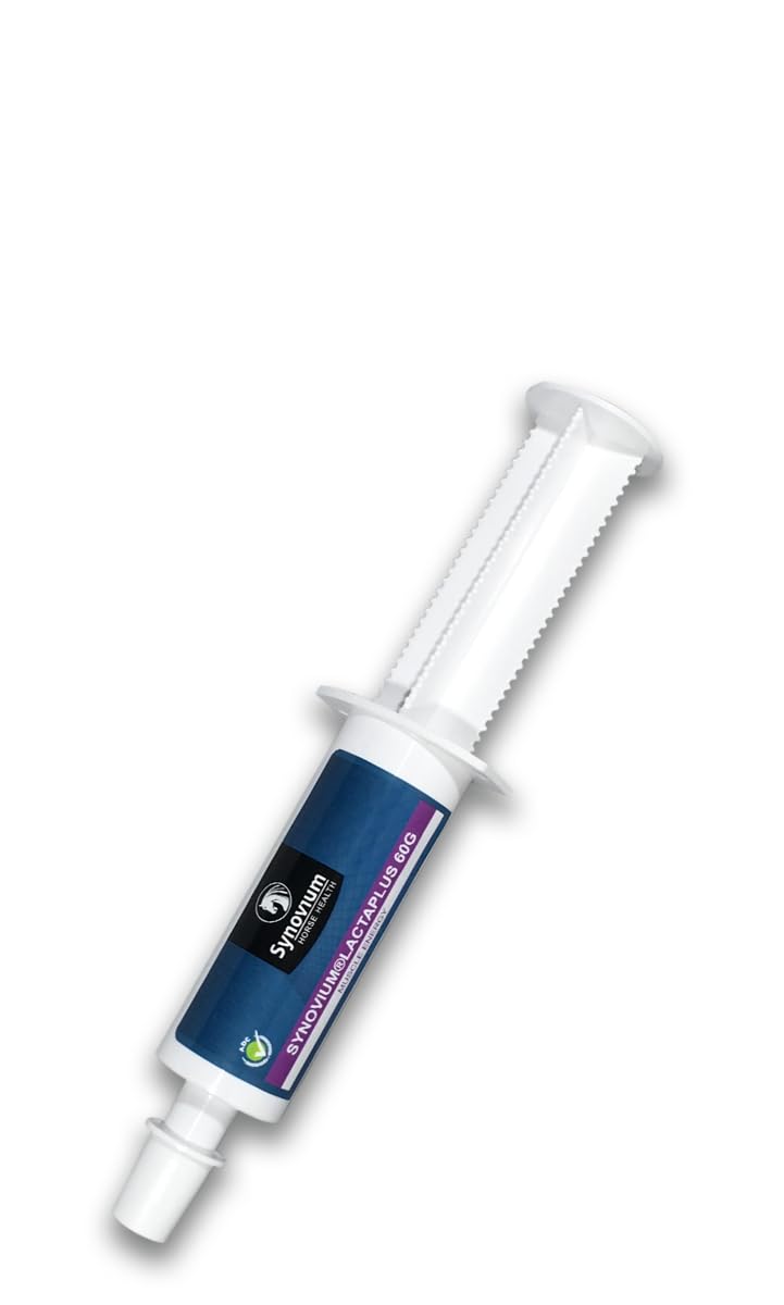 Lactaplus Paste 60 ML pâte orale pour la récupération musculaire équine