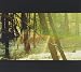 Camp [Explicit]