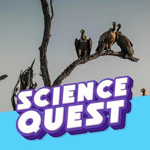 Why Don&rsquo;t Vultures Get Food Poisoning? 🦅🤢