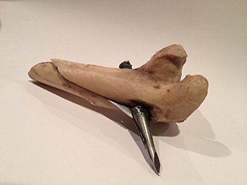 Jak-Knife By Wasp Archery #TOP2