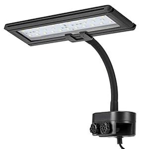 hygger Blue White LED Aquarium Light with Gooseneck Clamp Clip on Small Led Light for Planted Saltwater Freshwater Fish Tank (21W)