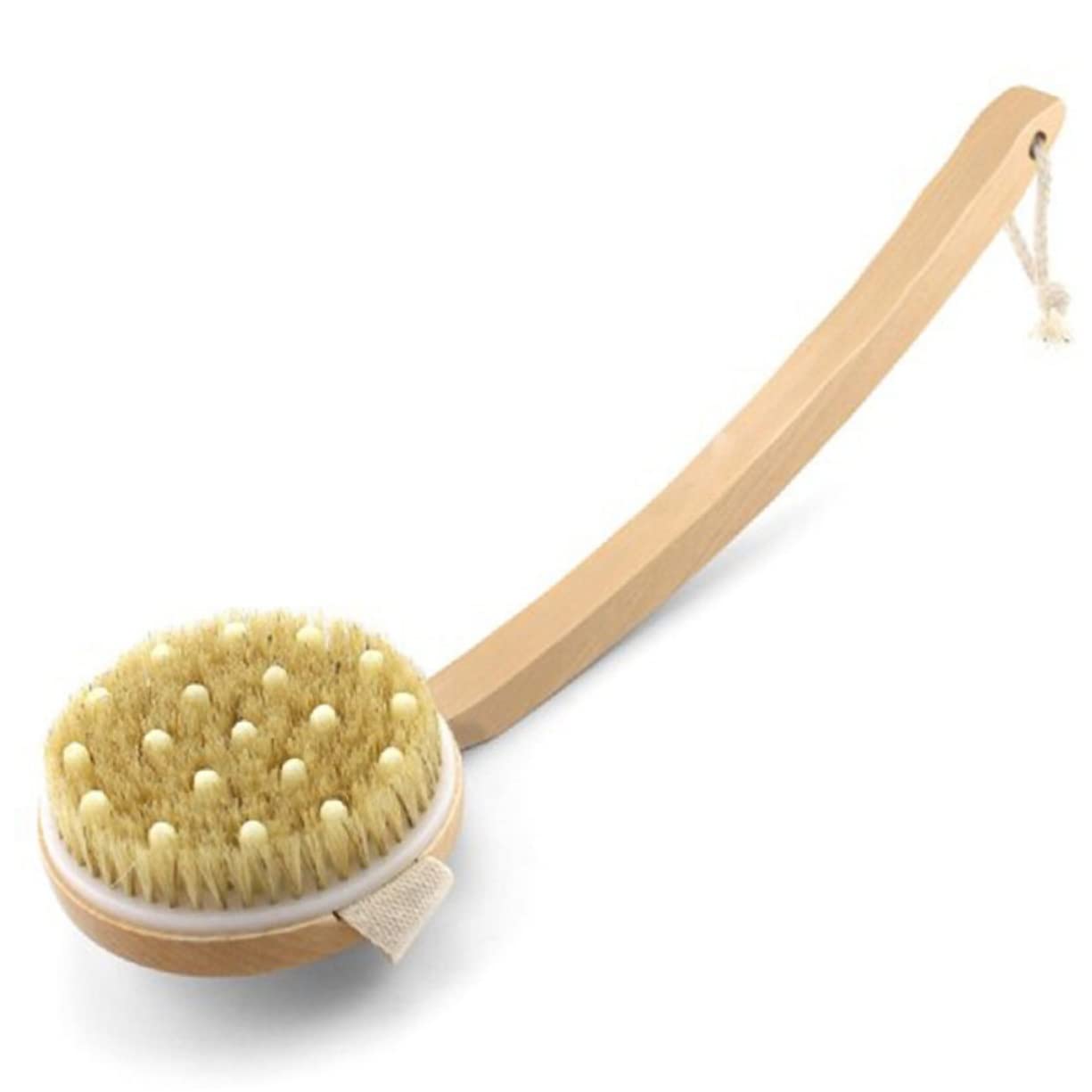 Angoily 2 Piezas Cepillar Cepillo De Masaje Corporal Cepillo Exfoliante Cepillo De Ducha Cepillo De Baño De Cerdas Suaves De Madera