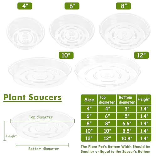 Lucpur PLANT SUCERS Saucer 20 Pack Plant Trays thumb #3
