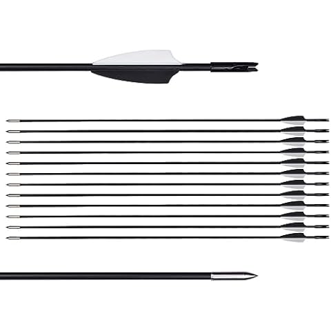 LWANO 31" Training Arrows-Archery Practice Target Arrows for Kids Youth or Beginners with Durable Shaft on Recurve Bow Compound Bow and Longbow (12pas Arrows, Black) Cover