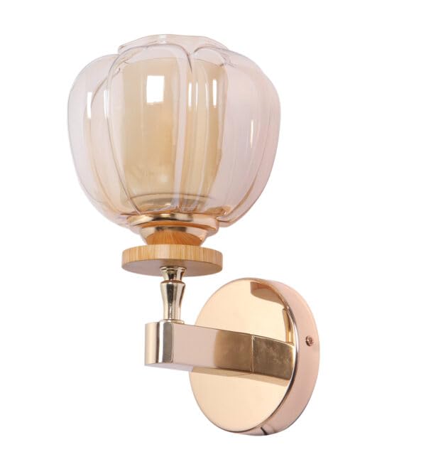 Image of ELAINTE Premium Wall Light | | Elegant Glass Wall Lamp for Living Room & Hallway | 3 Years Warranty | Free Bulb (Tany-Single)