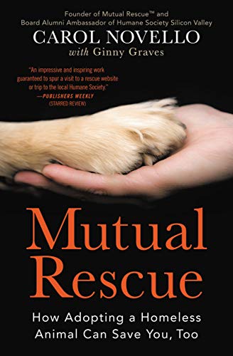 Mutual Rescue: How Adopting a Homeless Animal Can Save You,