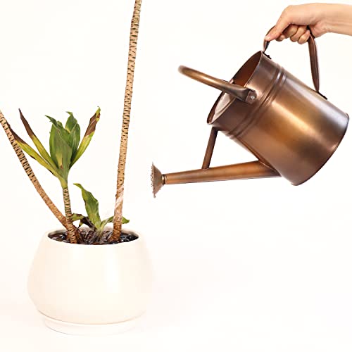 Lechloris Metal Watering Can For Outdoor Plants, Galvanized Steel Watering Can With Removable Spout, 1 Gallon,Perfect Home & Garden Decor With Free Glass Nuggets And Rattan Wicker Balls, Copper #TOP5