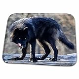 Dish Drying Mat - Wolf, black with tongue out Animals