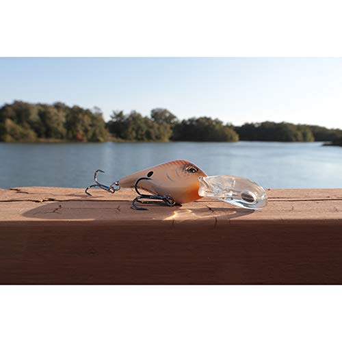 Berkley® Dredger #TOP2