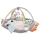 Playgro 40220