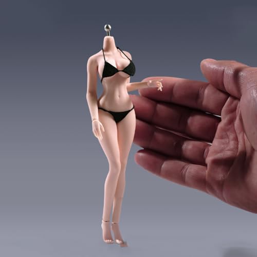 RoofWorld 1/12 Scale Female Body,Fitness Edition Beauty Action Figure Body 6inch Super Flexible Pale Skin Seamless with Detachable Hand Feet Miniature Modle for Bodybuilding Sports Hobby Collection